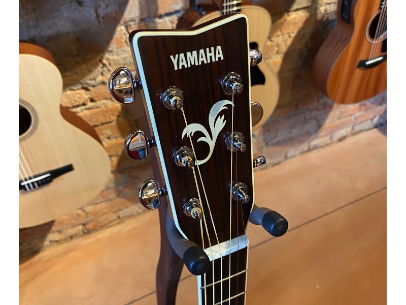 Yamaha FG441 Esse Music Store