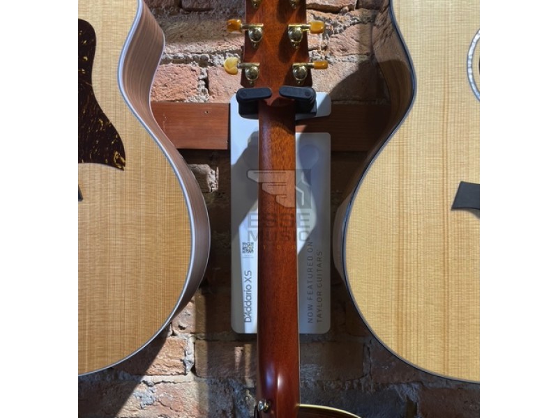 Crafter WF-ROSE PLUS - Esse Music Store