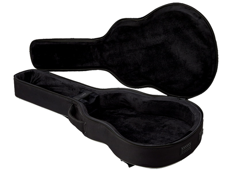 Epiphone on sale casino case