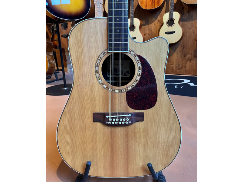 Takamine ef400sc deals