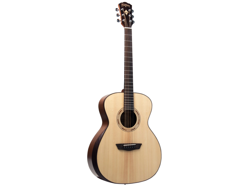 washburn g10se